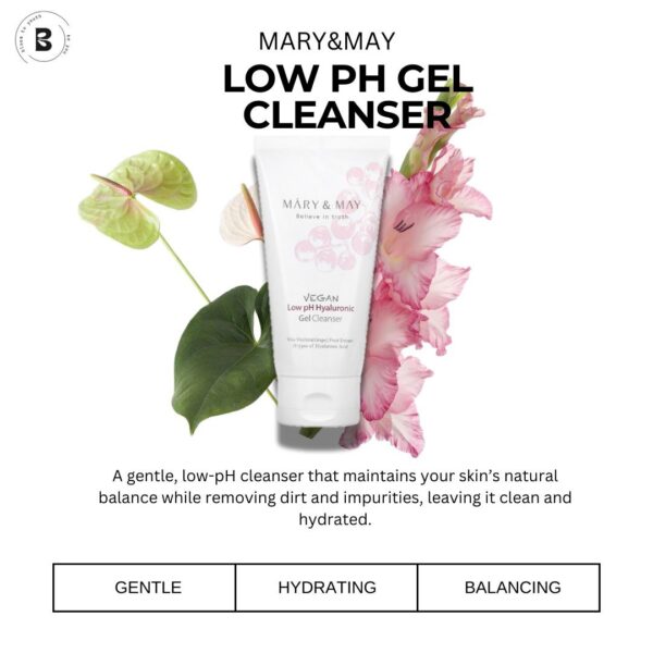 WhatsApp Image 2025-01-22 at 14.08.07